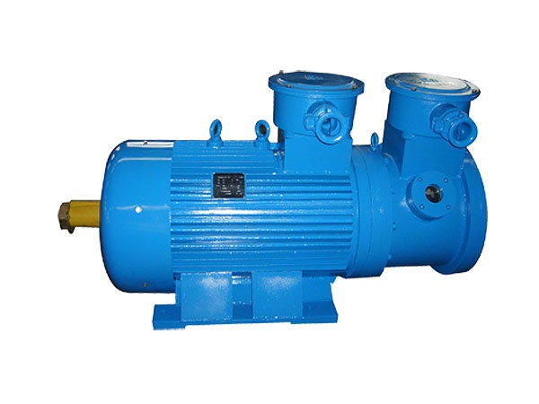 起重用隔爆型繞線轉(zhuǎn)子三相異步電動機(jī)